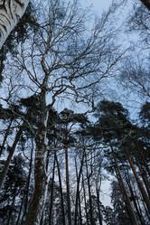 Similar image 7543076