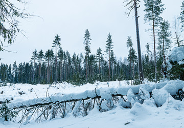 Similar image 7543077