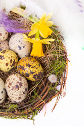 Similar image 7543081