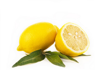 Similar image 7543099