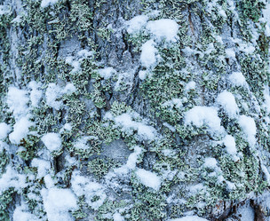 Similar image 7543105