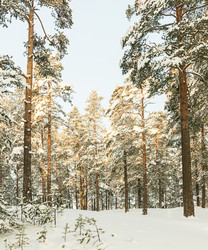 Similar image 7543109