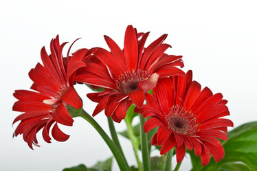 Similar image 7543128