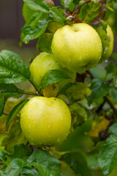 Similar image 7543139