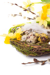 Similar image 7543158