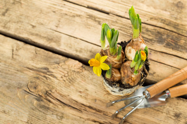 Similar image 7543160