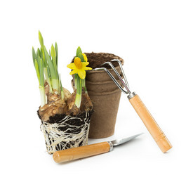 Similar image 7543162