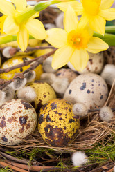 Similar image 7543163