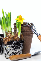 Similar image 7543164