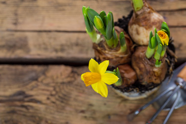 Similar image 7543167