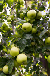 Similar image 7543168