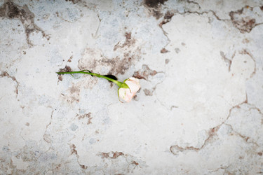 Similar image 7543169