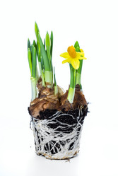 Similar image 7543173