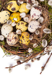 Similar image 7543175