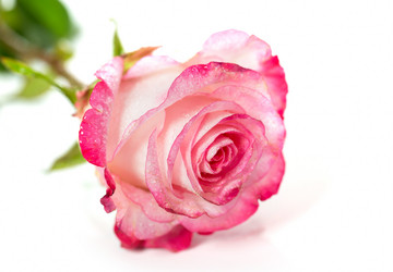 Similar image 7543176