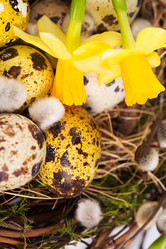 Similar image 7543180