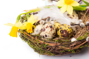 Similar image 7543185