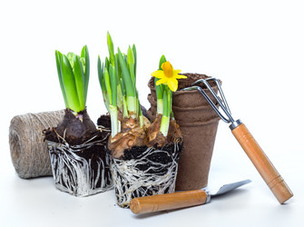 Similar image 7543187