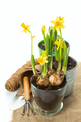 Similar image 7543188