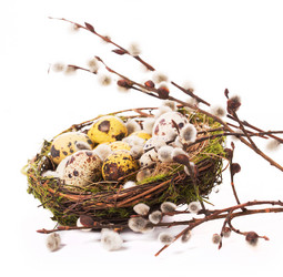 Similar image 7543190