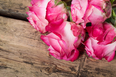 Similar image 7543198