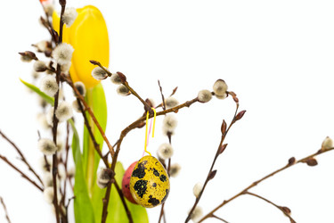 Similar image 7543202