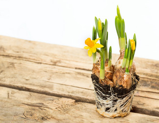 Similar image 7543204