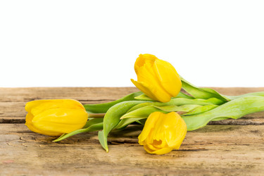 Similar image 7543205