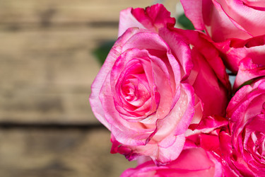 Similar image 7543210