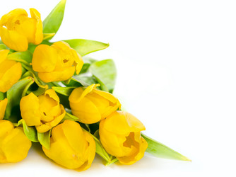 Similar image 7543212