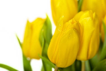 Similar image 7543245