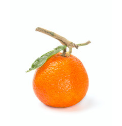 Similar image 7543249