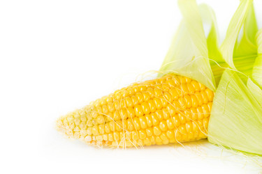 Similar image 7543286