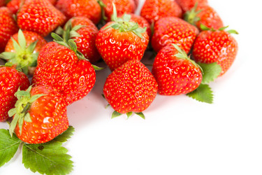 Similar image 7543288