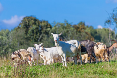 Similar image 7543322