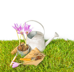 Similar image 7543329