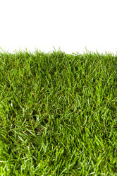 Similar image 7543331