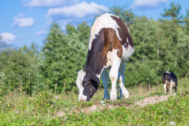 Similar image 7543334