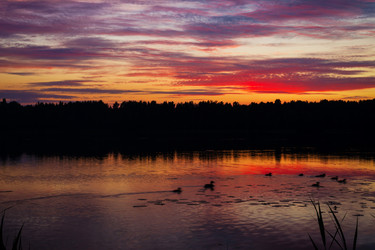 Similar image 7543338