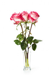 Similar image 7543347