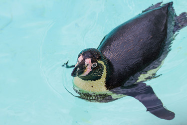 Similar image 7543361