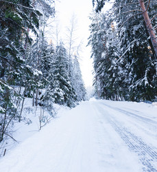 Similar image 7543379