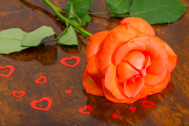 Similar image 7543386