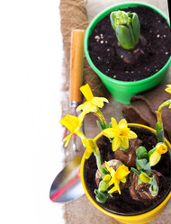 Similar image 7543388