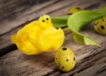 Similar image 7543396