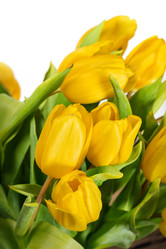 Similar image 7543397