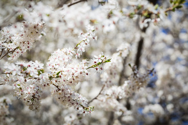 Similar image 7543406