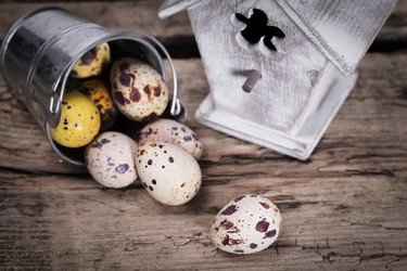 Similar image 7543408