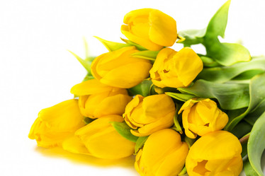 Similar image 7543410