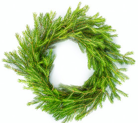 Similar image 7543450